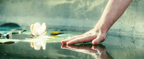 A hand gently reaching down with a flat palm to touch the calm water's surface
